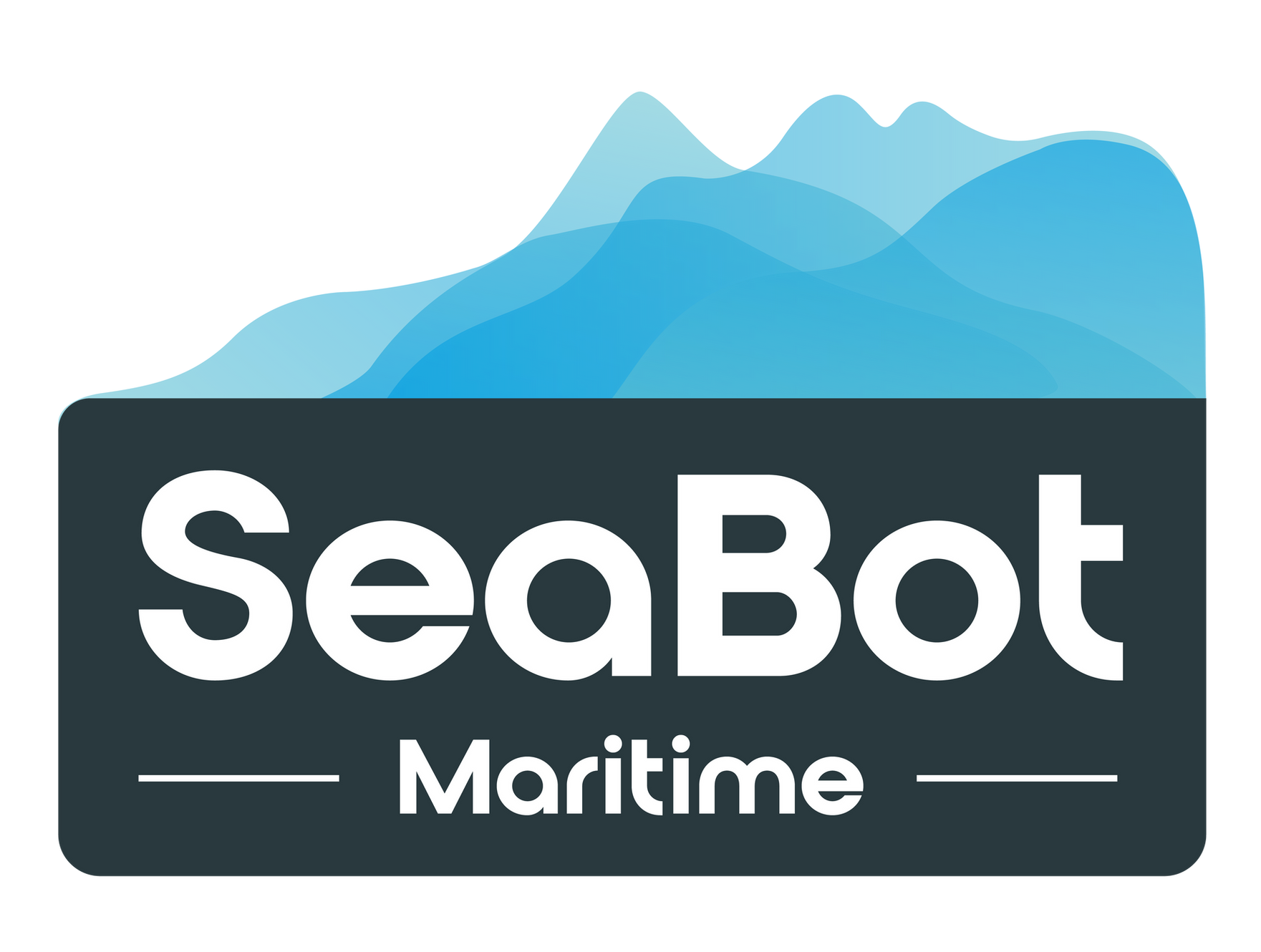 SeaBot Maritime Limited
